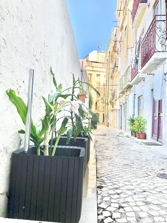 Frank'S House & Happy Downtown Appartement Lissabon